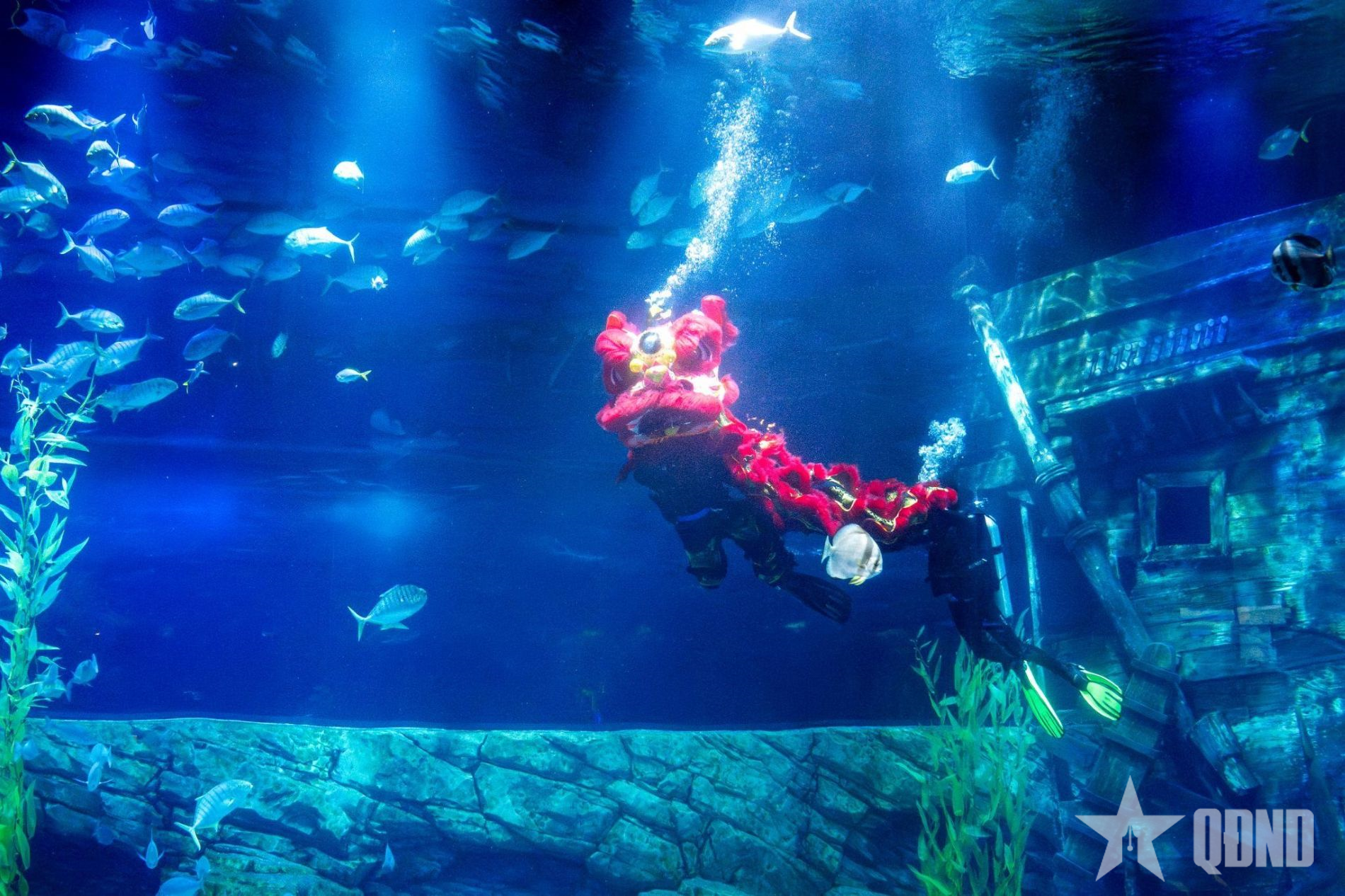 Đón Trung thu dưới lòng “đại dương” tại Lotte World Hà Nội